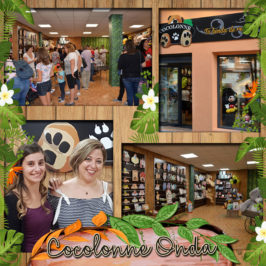 cocolonne abre tienda