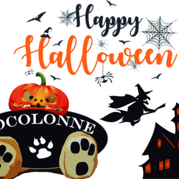 ¡Llega Halloween a nuestro Cocolonne!