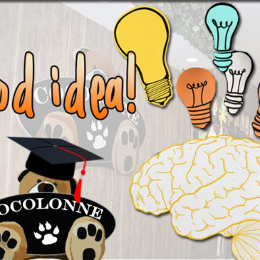 ¡Las ideas que te brinda Cocolonne!