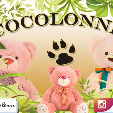 O que te oferece a Cocolonne?