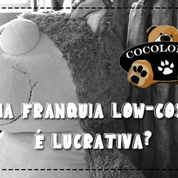 Uma franquia low-cost é lucrativa?